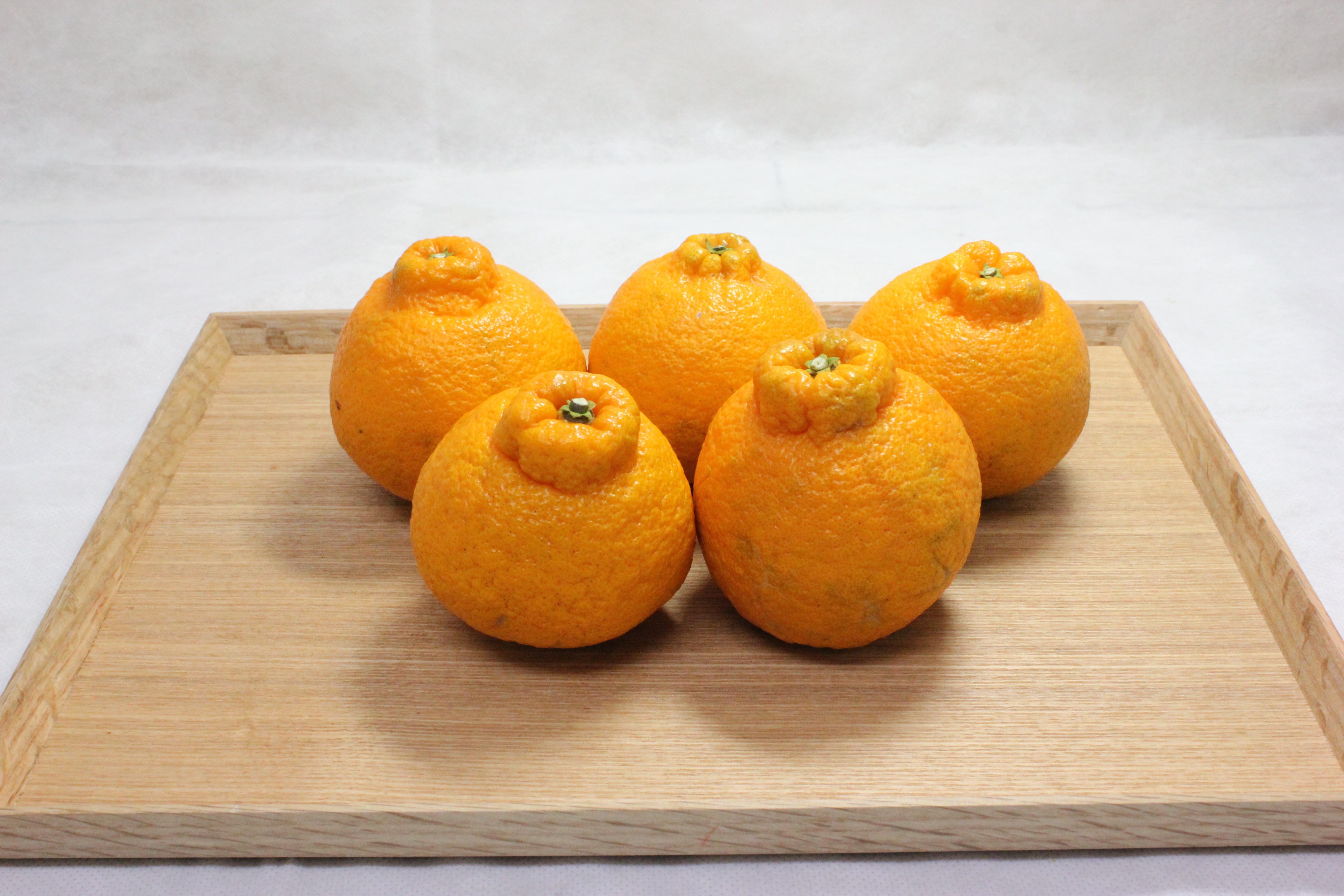 デコポン（有機栽培）