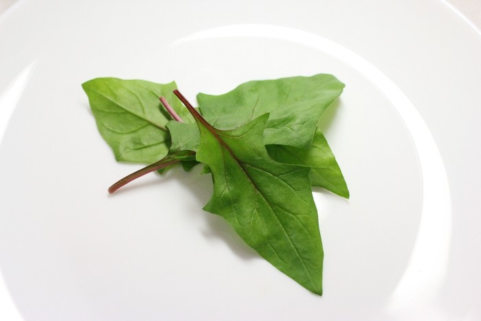 【中２日】ベビーリーフ　赤軸ほうれん草（有機栽培）