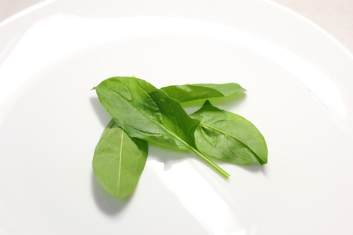 【中２日】ベビーリーフ　ほうれん草（有機栽培）