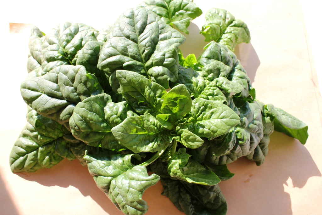 ちぢみほうれん草（有機栽培）