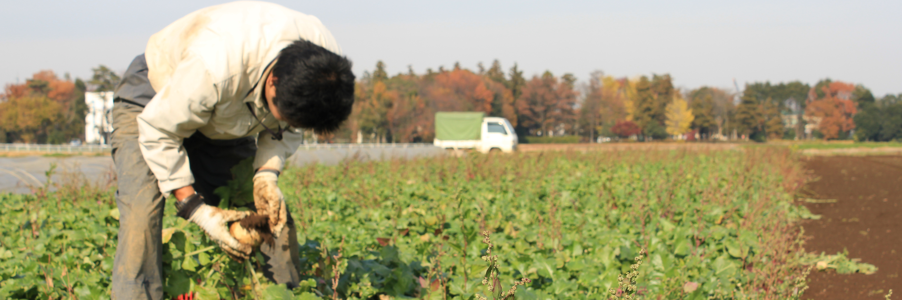 有機農園モアークについて