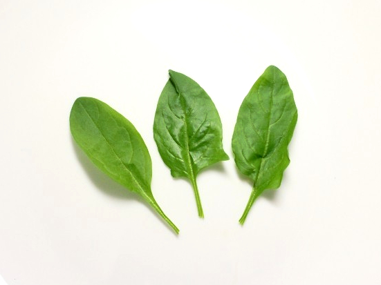 ベビーリーフほうれん草