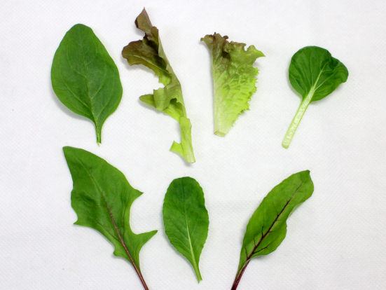 ベビーリーフミックス