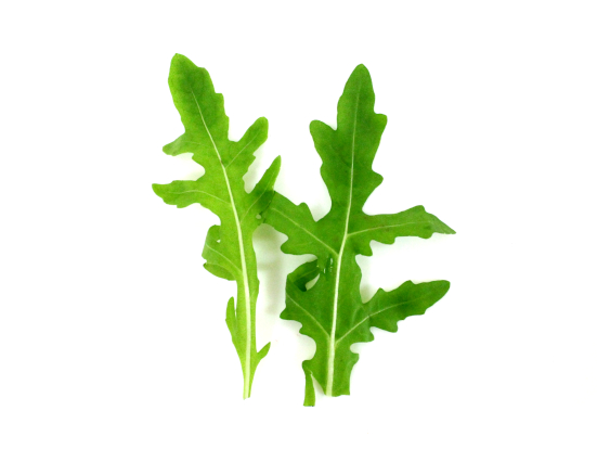 ルッコラセルバチカ