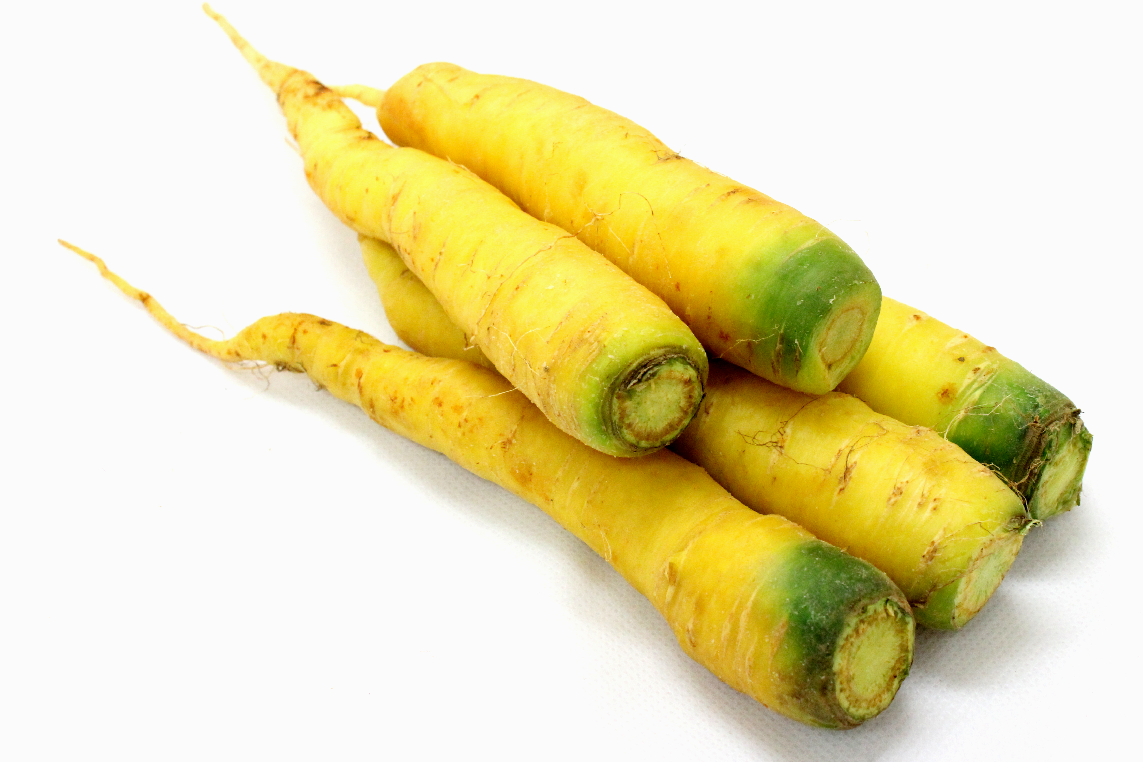 黄色人参（慣行栽培）