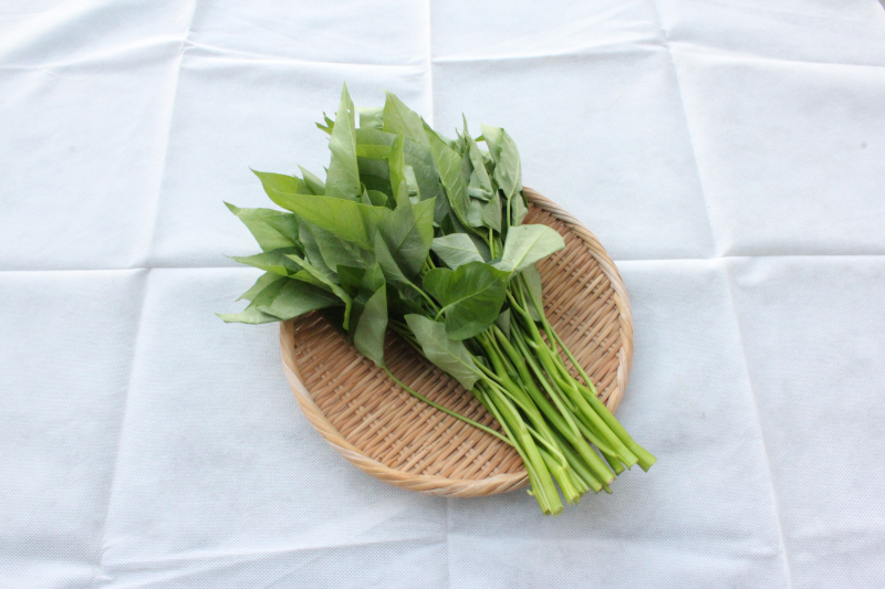 かき菜（有機栽培）
