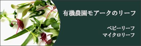 マイクロリーフバナー