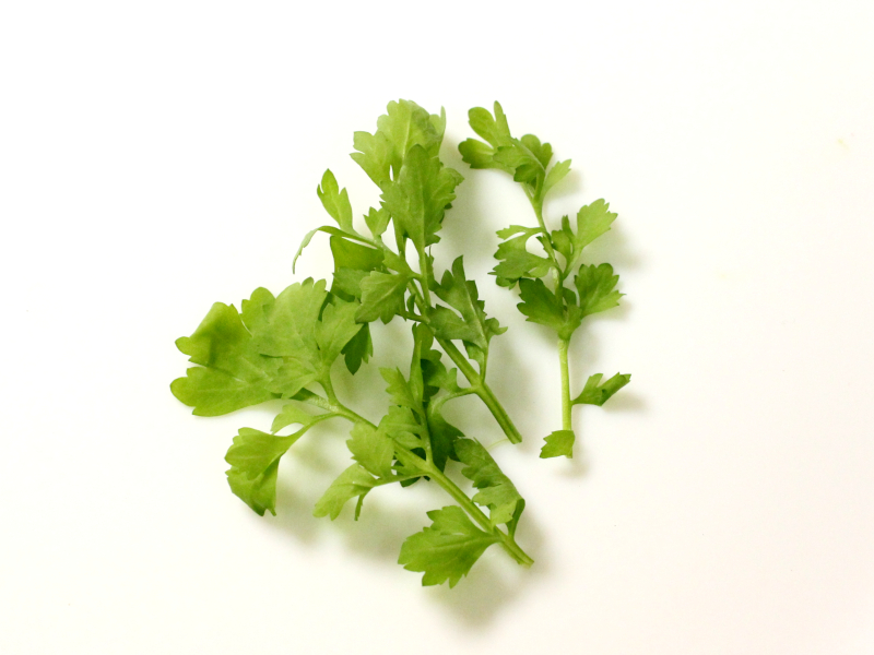 マイクロリーフガーデンクレス