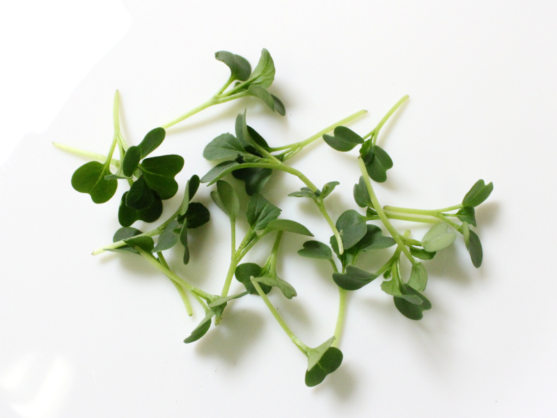 マイクロピノグリーン