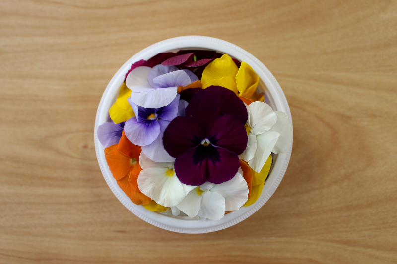 エディブルフラワー(ビオラ ・色おまかせ)（慣行栽培）