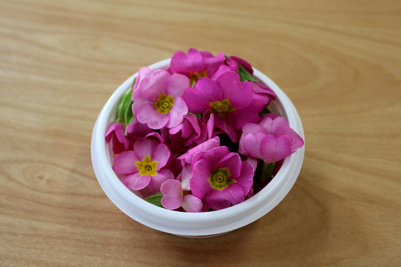 エディブルフラワー(プリムラ ・色おまかせ)（慣行栽培）