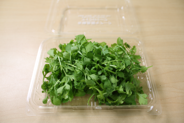 マイクロリーフ　ガーデンクレス　11ｇ（有機栽培）